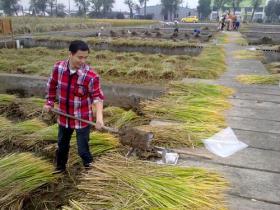 海南推動秸稈綜合利用產業化