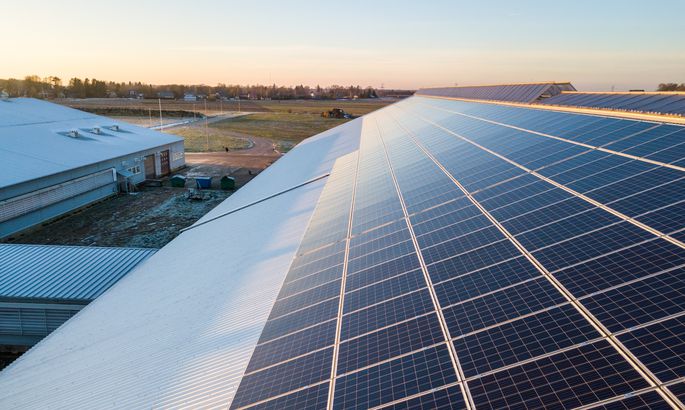 愛沙尼亞奶牛場(chǎng)開始工作的太陽(yáng)能發(fā)電廠處于最高容量