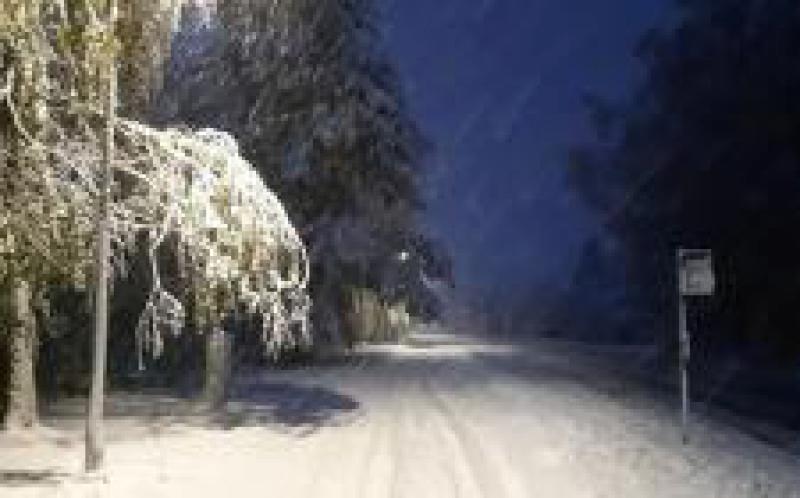 愛沙尼亞南部地區(qū)受暴風(fēng)雪影響，致數(shù)萬(wàn)家庭無(wú)電